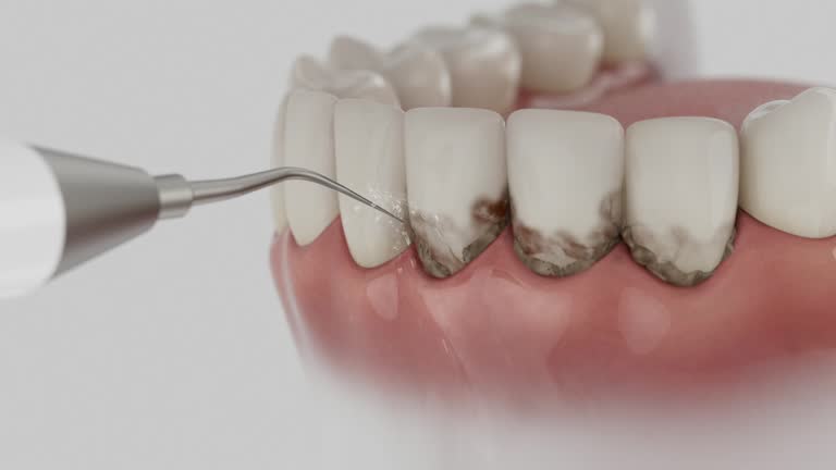 Reliable Dental contractor in Ridgeland, SC by Dentist Open Now